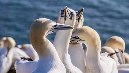 有人在评论区提醒；91官网；关于链接失效的说法——我试了三种方法才搞明白！！据说后面还有更大的反转