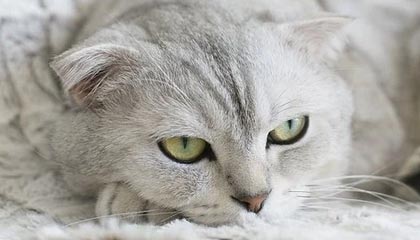 我真没想到，反差大赛爆了：最容易踩坑的入口，别急，关键在后面