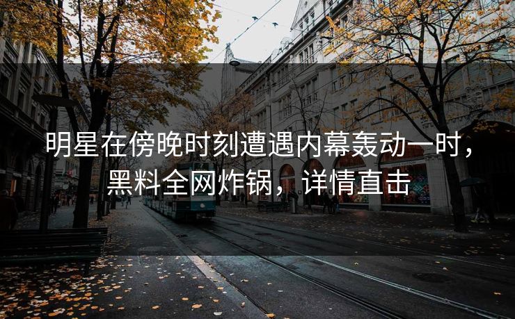 明星在傍晚时刻遭遇内幕轰动一时，黑料全网炸锅，详情直击
