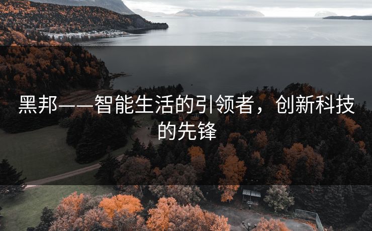 黑邦——智能生活的引领者,创新科技的先锋 黑邦——智能生活的引领者,创新科技的先锋